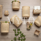 Blossomed Container Small